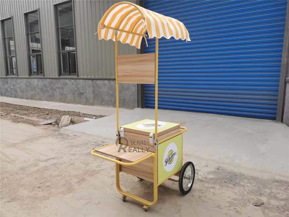 50L Push Hand Ice Cream Container For Coffee Popsicle Bike Food Truck Park Gelato Cart