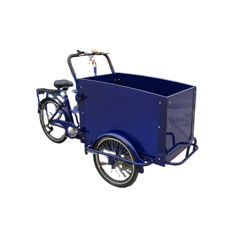 Family Electric Cargo Tricycle 3 Wheel Adult Bike for Kids Coffee Vending Bicycle with Wooden Box