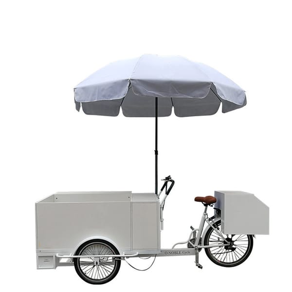 Electric Freezer Bike Ice Cream Cart Food Coffee Vending Truck Cold Drink Refrigerated Bicycle with Frozen Function
