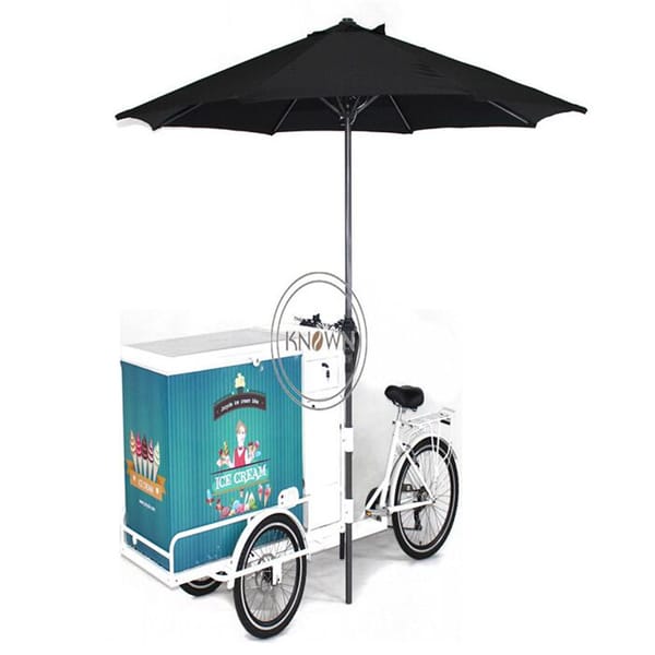 Electric Refrigerator Bicycle Feezer Food Tricycle Cart For Ice Cream Popsicle Coffee Freeze Food Sale