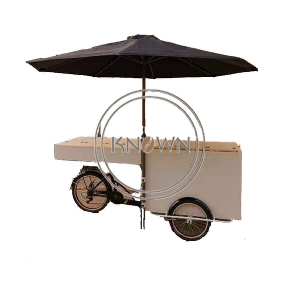 New Design Electric Tricycles in Summer Folding Cargo Bike Ice Cream Snack Coffee Freezer Machine Fridge Bike for Sale