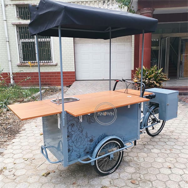 Streeet Outdoor Electric Cargo Bike Adult Tricycles Bicycles Mobile Coffee Food Vending Cart for Sale