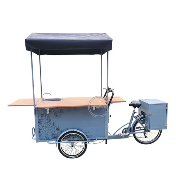 Craft Ice Cream Bicycle Electric Pedal Cargo Bike Coffee Adult Tricycle Drinks Snacks Vending Kiosk Food Cart