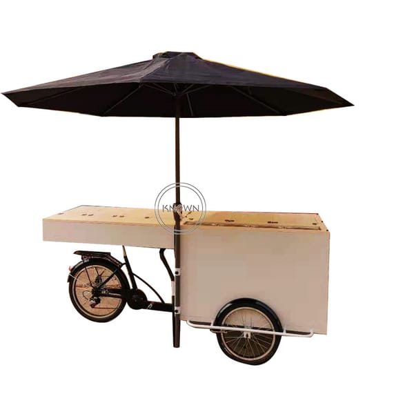 Electric Adult Cargo Tricycle Mobile 3 Wheels Coffee Bicycles Vending Ice Cream Freeze Food Cart