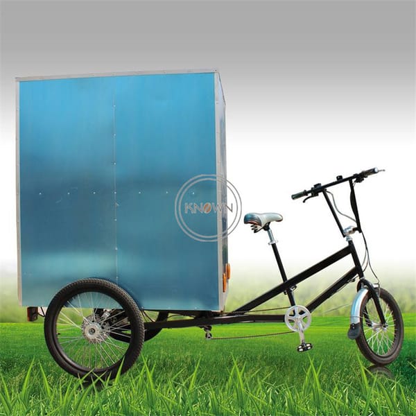 Hot Selling Mobile Electric Tricycle Street Coffee Vending Bicycle Outdoor Three Wheel Fruit Cargo Bike for Sale