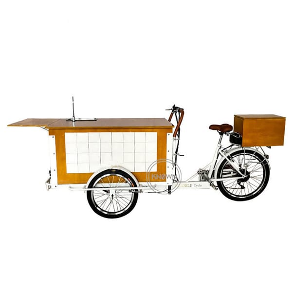 250W Electric Mobile Coffee Bike 3 Wheeler Cargo Bicycle Reverse Trike Street Snack Cart Adult Tricycle Mobile Food Cart