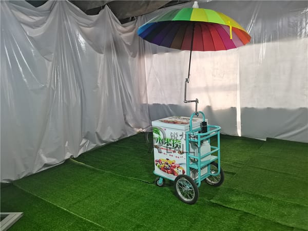 Mobile Food Fruits Ice Cream Coffee Cart Wooden Outdoor Snacks Removable Kiosk For Sale