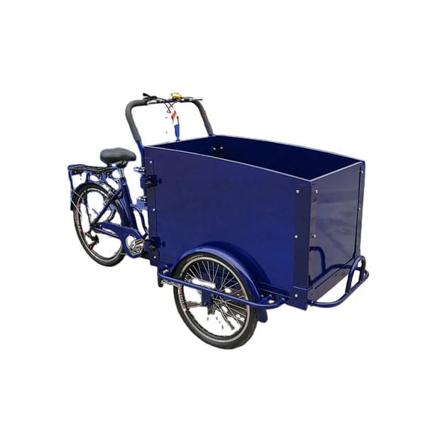 Family Electric Cargo Tricycle 3 Wheel Adult Bike for Kids Coffee Vending Bicycle with Wooden Box